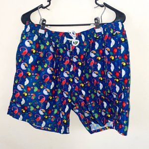 Men's Swim Trunks with Flamingos & Toucans